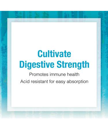 Natural Factors Ultimate Probiotic for Seniors - 35 Billion CFU, 30 Vegetarian Capsules - Buy Online on GoSupps.com