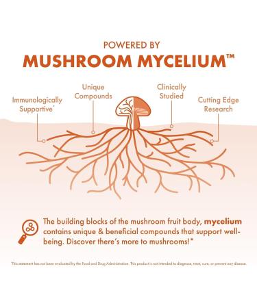 Host Defense Cordyceps Capsules - Immune & Energy Support Supplement - Kidney Health Supplement with Cordyceps - Fitness Support Supplement to Aid Oxygen Uptake - 120 Capsules (60 Servings)* 120 Count (Pack of 1) - Buy Online on GoSupps.com