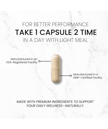 TrueMed Neuro Support - Premium Nootropic Supplement for Focus Energy Mental Clarity and Performance Organic Lion s Mane Bacopa Monnieri Rhodiola Non-GMO Gluten-Free CDP Choline 90 Veg Capsules - Buy Online on GoSupps.com
