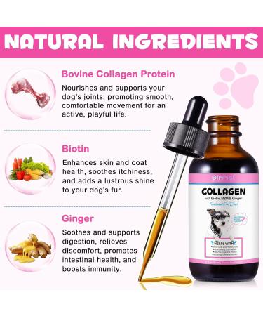 Liquid Collagen for Dogs Maintaining Dog Joint Health Shiny Coat & Healthy Skin Care Dog Digestive Health Supplement with Biotin MSM & Ginger Bacon Flavor - 2 fl oz - Buy Online on GoSupps.com