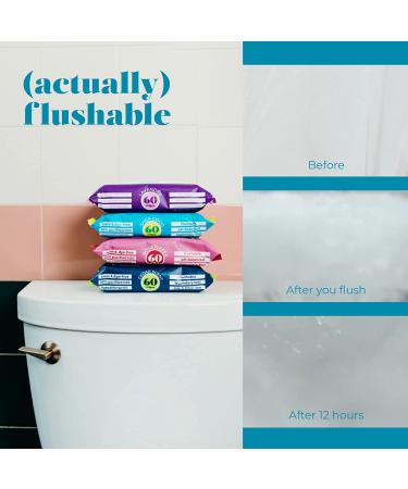 Goodwipes Flushable & Biodegradable Wipes with Botanicals | 180 Count (3 Packs) | Shea-Coco with Aloe | At-Home Use Safe | Septic-Sewer Safe - Buy Online on GoSupps.com
