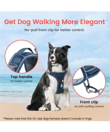 Pawaii XS Dog Harness for Small Dogs - Anti-Pull Reflective Adjustable Breathable Chest Harness with Handle - Deep Sea Blue - Buy Online on GoSupps.com