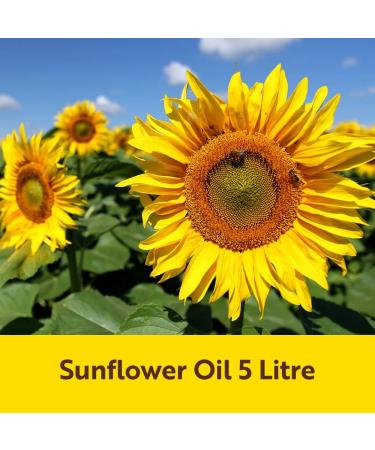 Sunflower Oil (5 Liter) Edible Oil Large Container I Frying Oil I Ideal for Cooking Roasts and Sal - Buy Online on GoSupps.com