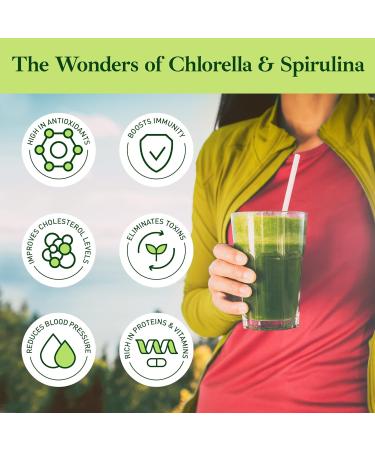 Premium Chlorella Spirulina Powder - 85 Servings - Non-GMO - Sunlight Grown - Deep Green Color - Cracked Cell Wall - High Protein - Alkalizing - Vegan Capsules - Mountain Water - 170g - Buy Online on GoSupps.com
