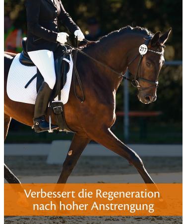 EQUISTRO Haemolytan 400 | Horse Supplement | Vitality Support | May Help Improve Overall Performance | 250 ML - Buy Online on GoSupps.com