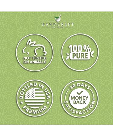 Handcraft Blends Cooling Body Oil Set: Sweet Almond Oil (16 Fl Oz) and Peppermint Essential Oil (4 Fl Oz) 100% Pure & Natural for Invigorating Massage and Tired Muscles - Buy Online on GoSupps.com