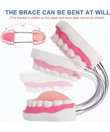 Mounw 6-Fold Enlarged Tongue-Mouth Model for Speech Therapy & Child Tooth Care - Includes Toothbrush | International Shipping Available - Buy Online on GoSupps.com