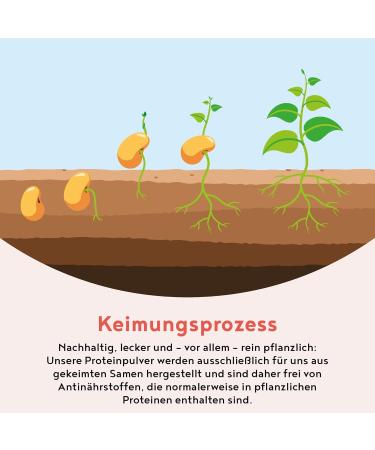 Vegan Protein Powder 600g - 22g Protein per Serving | Premium Quality Shake - Soy Rice Pea Sunflower & Pumpkin Seed Blend - Alpha Foods Kipferl - Buy Online on GoSupps.com