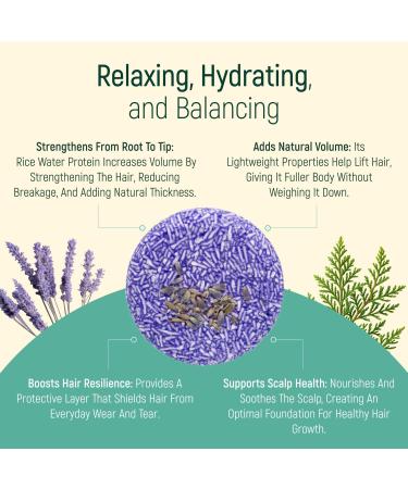 BAMBOEARTH Solid Shampoo Bar and Conditioner Effect Hair Soap Natural Shampoo Bars for Hair with Plant Essential Oils and Zero Waste Biodegradable Packaging Lavender - Buy Online on GoSupps.com