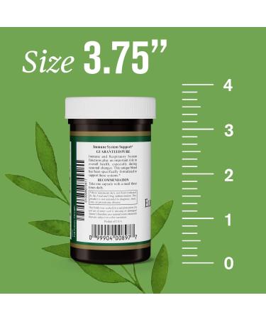 Nature's Sunshine Elderberry D3fense 90 Capsules - Immune & Respiratory Support with Vitamin D, Sambucus Elderberry, Echinacea - Buy Online on GoSupps.com