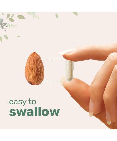 Micro Ingredients Lions Mane Supplement Capsules 240 Veggie Capsules with L-Ergothioneine 4 Month Supply | Brain Energy & Immune Health Support | Non-GMO - Buy Online on GoSupps.com