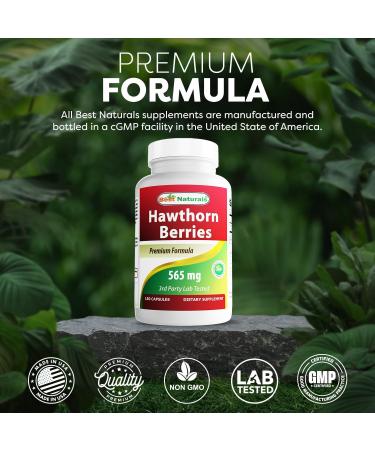 Best Naturals Hawthorn Berry 565 mg 180 Capsules (180 Count (Pack of 2)) - Buy Online on GoSupps.com