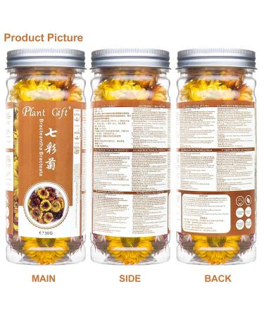 Buy Colorful Bracteantha Bractata Flower 30g | Anti-Fatigue Slimming Tea for Beauty & Liver Care - Buy Online on GoSupps.com