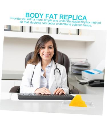 Mobestech Fat 1lb Fat Model Mannequins Manikin Human Body Fat 5lb Fat Display 1-Pound Fat Replica Fitness Base Sports - Buy Online on GoSupps.com
