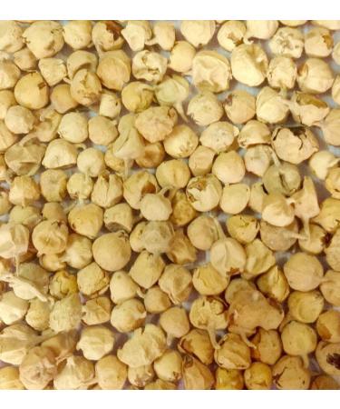 Paneer DODI | Indian Rennet | Paneer Doda | Withania coagulans 1000g - Buy Online on GoSupps.com