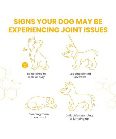 Vetzyme Flexible Joint Supplements for Dogs (30 Tablets) - Hip and Joint Care with Glucosamine Tasty Chicken Flavour 30 count (Pack of 1) Single - Buy Online on GoSupps.com