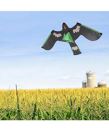 Shop Aizuoni Falcon Bird Dragons - Spring Reflective Birds for Global Shipping | Unique Decorative Art - Buy Online on GoSupps.com