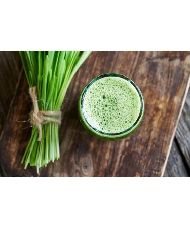 Organic Barley Grass Powder 500g - 1.1lb | Vegan & Non-GMO | Pure Superfood Blend for Cocktails - Buy Online on GoSupps.com