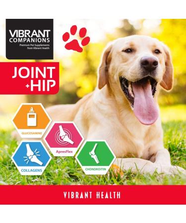 Vibrant Health Joint & Hip Supplement for Dogs & Cats - Beef Liver Flavor, 9.17 oz - Buy Online on GoSupps.com