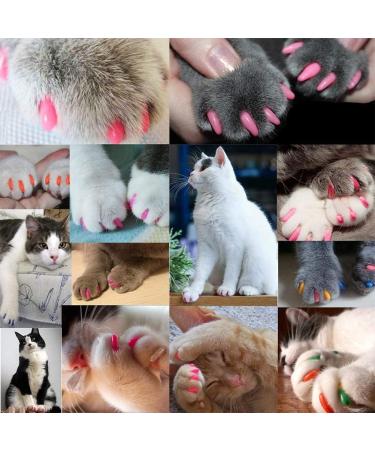Seminismar 40pcs Cat Nail Covers - Soft Claw Protector & Safe Anti-Scratch Paw Caps for Cats & Dogs (Size M) - Buy Online on GoSupps.com