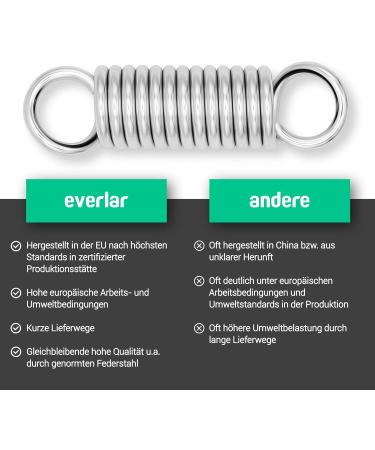 Everlar Anti Shock BoxSackfeder SET - 2 Karabiner | Quality EU Made Accessories for Sandbag & Punching Bag Suspension | 130 kg - Buy Online on GoSupps.com