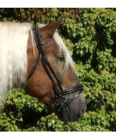 Shop Bridle Brilon X Noseband - Full Coldblood Extra Large Black Soft Leather | Tysons XX Full - International Shipping Available - Buy Online on GoSupps.com