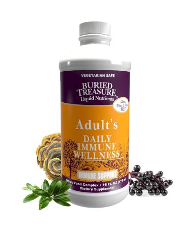 Buried Treasure Adult Daily Immune Wellness 16 Fl oz. Immune Booster with Elderberry Echinacea, Vitamins