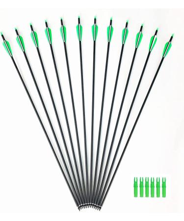 12-PK GPP Archery 30-Inch Carbon Arrows for Recurve & Compound Bow - Green Vanes - Buy Online on GoSupps.com