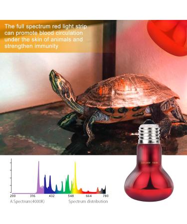 100W Red Light Lamp for Reptiles - E27 Heat Lamps for Turtles Snakes Bearded Dragons & More | 4-Pack Terrarium Heat Bulbs - Buy Online on GoSupps.com