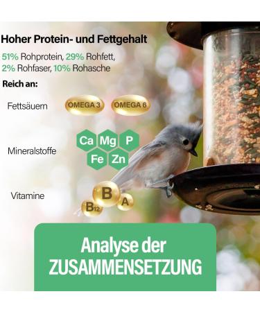 Mersjo Dried Mealworms 1kg - Premium Natural Bird Feed & Fish Food | High Protein Omega-3 Odorless | Ideal for Wild Birds Year-Round - Buy Online on GoSupps.com