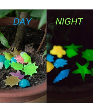 Halcyer 150-Piece Fluorescent Pebbles - Bright Colorful Night Light Stones for Aquarium and Garden Decoration - Buy Online on GoSupps.com