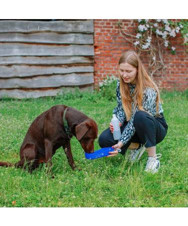 Nobby 72756 Travel Drinking Water Bottle 500 ml - White & Blue | Durable & Portable | Ideal for International Shipping - Buy Online on GoSupps.com
