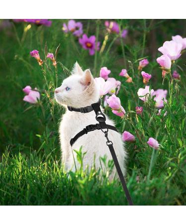 VKPETFR Cat Harness and Leash Set with Airtag Holder - Escape Proof Adjustable Kitten Harness for Small Large Cats - Lightweight Walking Travel Harness (Black) - Buy Online on GoSupps.com