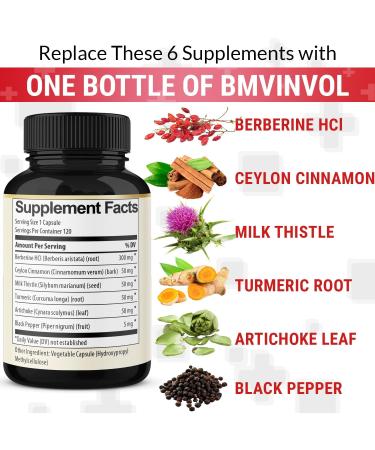 BMVINVOL 6in1 Berberine Supplement with Ceylon Cinnamon Tumeric Root Milk Thistle Artichoke Black Pepper -120 Capsules for 4 Month Supply - Buy Online on GoSupps.com