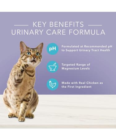 Blue Buffalo True Solutions Natural Urinary Care Dry Cat Food 15-lb & True Solutions Natural Adult Wet Cat Food Urinary Care 85g cans (Pack of 24) Urinary Care Large Bag+Natural Urinary Care 85g cans - Buy Online on GoSupps.com