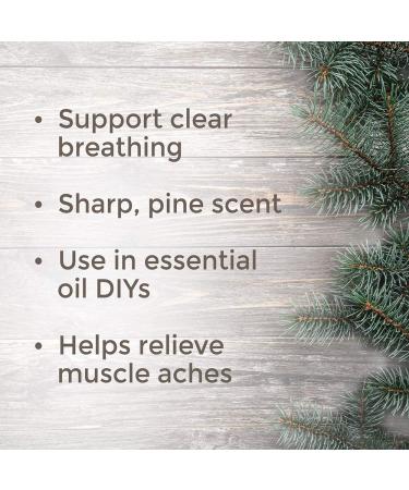 Buy Plant Therapy Fir Needle Essential Oil 10 mL - 100% Pure Undiluted Therapeutic Grade for International Shipping - Buy Online on GoSupps.com