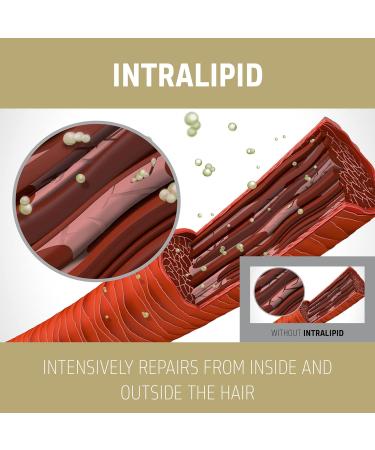 Goldwell Dual Senses Rich Repair Conditioner 10.1 oz - Restore Shine & Moisture | Shop Now for International Shipping - Buy Online on GoSupps.com