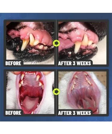 Sofenthiss - Sofenthiss Teeth Cleaning Spray for Dogs & Cats Dog Teeth Cleaning Spray Pet Oral Spray Clean Teeth Pet Breath Freshener Spray No Brushing Pet Oral Care Spray (1Pcs) - Buy Online on GoSupps.com