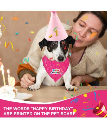 4-Piece Pet Birthday Party Supplies | Dog Triangle Scarf Hat & Gold Pink Decorations for Small Medium & Large Pets - Buy Online on GoSupps.com