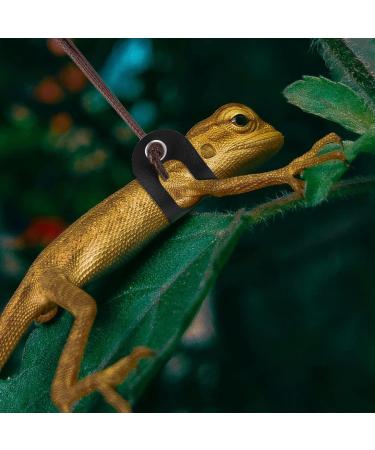 cobee Adjustable Lizard Leash 3pcs Bearded Dragon Harness and Leash 3 Size Reptile Leather Harness Bearded Dragon Rope with Cool Wings for Lizard Amphibians Chameleons Small Pet Animals(S M L) - Buy Online on GoSupps.com