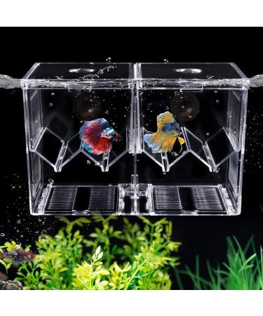 WEAVERBIRD Fish Breeder Box Clear Acrylic Aquarium Isolation Hatchery Feeding Boxes Perfect Isolator for Aggressive Fish Injured Fish Small Fish Shrimp Clownfish with 2pcs Sucker and Hook XL(Double Box) - Buy Online on GoSupps.com