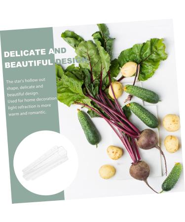SUPVOX 4 Pcs Fruit and Vegetable Shaping Mold Plant Quincunx - Buy Online on GoSupps.com