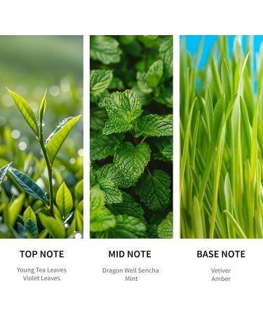 MISIJI Hotel Collection Diffuser Oil-The Way of Nature 6.76 Fl Oz (200ml) Home Luxury Aroma & Hotel Fragrance Diffuser Oil for Aromatherapy Bigger Bottle& Longer Lasting - Buy Online on GoSupps.com