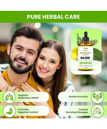 Mullein Drops for Lungs USDA Organic Lung Detox and Cleanse Liquid with Marshmallow Thyme Astragalus Orange Peel Echinacea Alcohol & Sugar Free Extract for Smokers 2 Fl Oz 2 Fl Oz (Pack of 1) - Buy Online on GoSupps.com