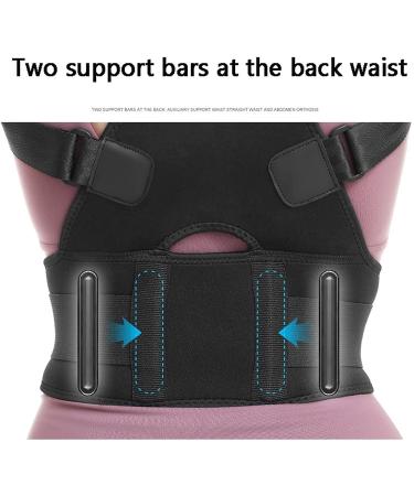 Buy Adjustable Lumbar Support Belt & Back Brace for Pain Relief - Posture Corrector for Men & Women (Medium Size - Buy Online on GoSupps.com