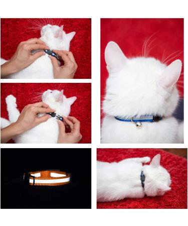 Maiyaduo Adjustable Cat Neck Band with Bell Reflective Fluorescent & Quick Lock Safety Buckle for Domestic Cats - Buy Online on GoSupps.com
