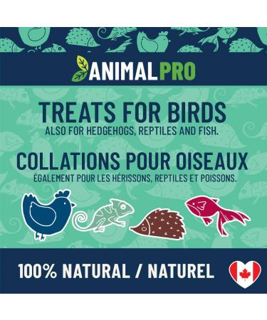 AnimalPro Crickets for birds 454 g - 1 LB - Buy Online on GoSupps.com