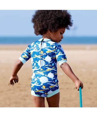 Splash About Happy Nappy Wetsuit & Reusable Swim Nappy | Up in the Air | 6-14 Months - Buy Online on GoSupps.com