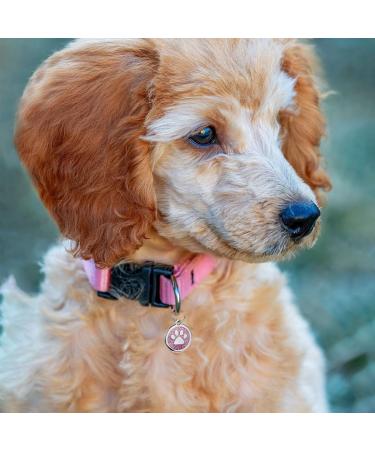 Personalized Pet ID Tags for Dogs and Cats Custom Laser Engraved Name and Number Zinc Alloy Cute Paw Shaped Dog Collar ID Tag.3Pack(Pink) Pink 3 Pack - Buy Online on GoSupps.com