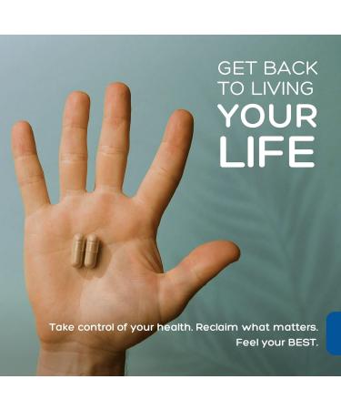 Natural Cure Labs Premium Andrographis Paniculata Extract 1,200mg with 100mg Andrographolides Vegan Capsules for Immune & Digestive Support, Non-GMO, Gluten Free, Herbal Dietary Supplement 120 Count (Pack of 1) - Buy Online on GoSupps.com